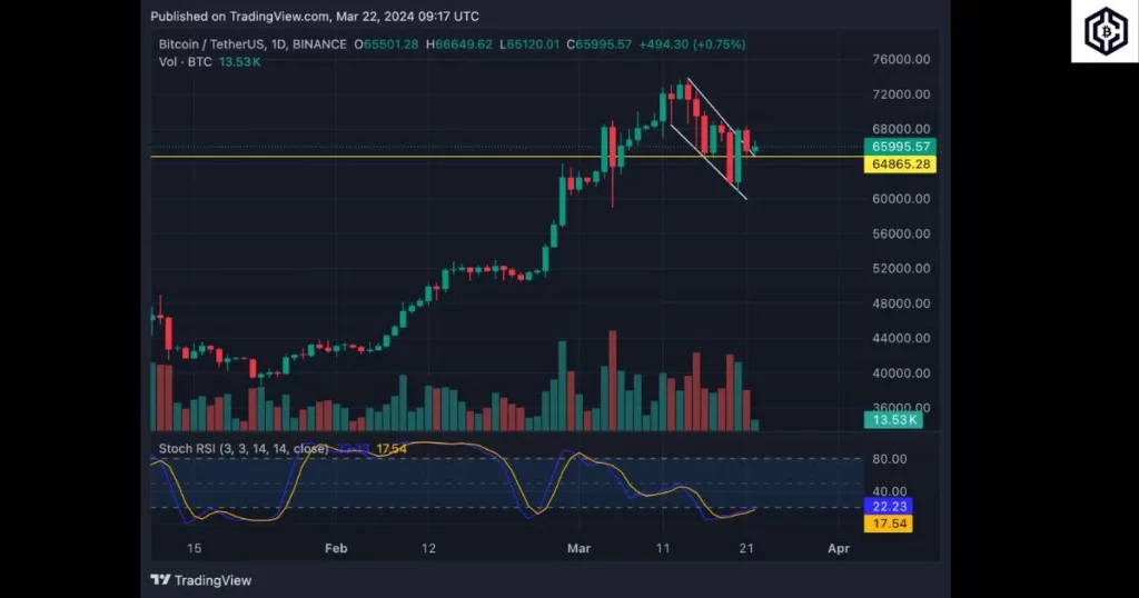 Bitcoin price softens, support found at 65,000 Trading view chart March 22, 2024