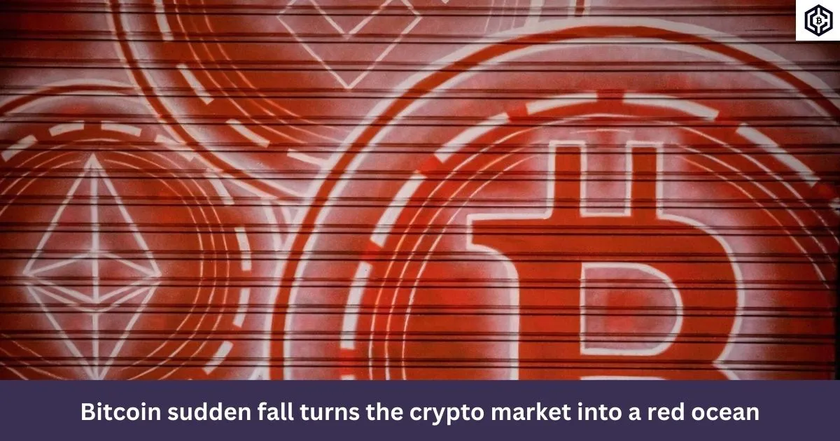 Bitcoin sudden fall turns the crypto market into a red ocean