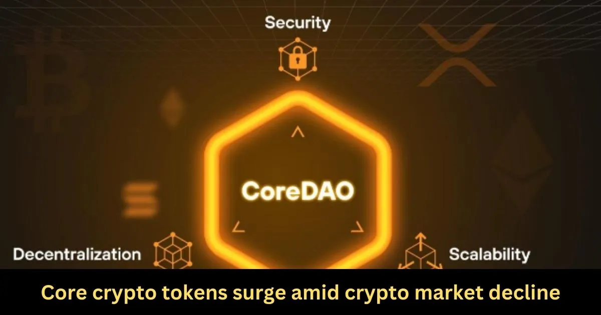 Core crypto tokens surge amid crypto market decline