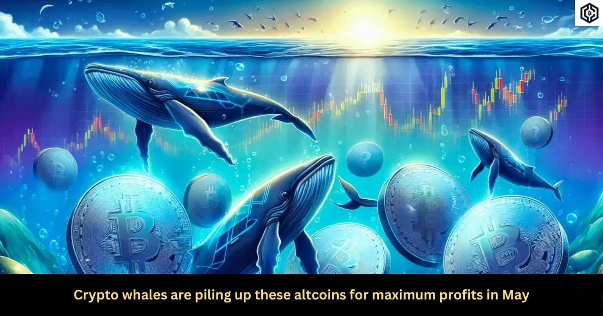 Crypto whales are piling up these altcoins for maximum profits in May