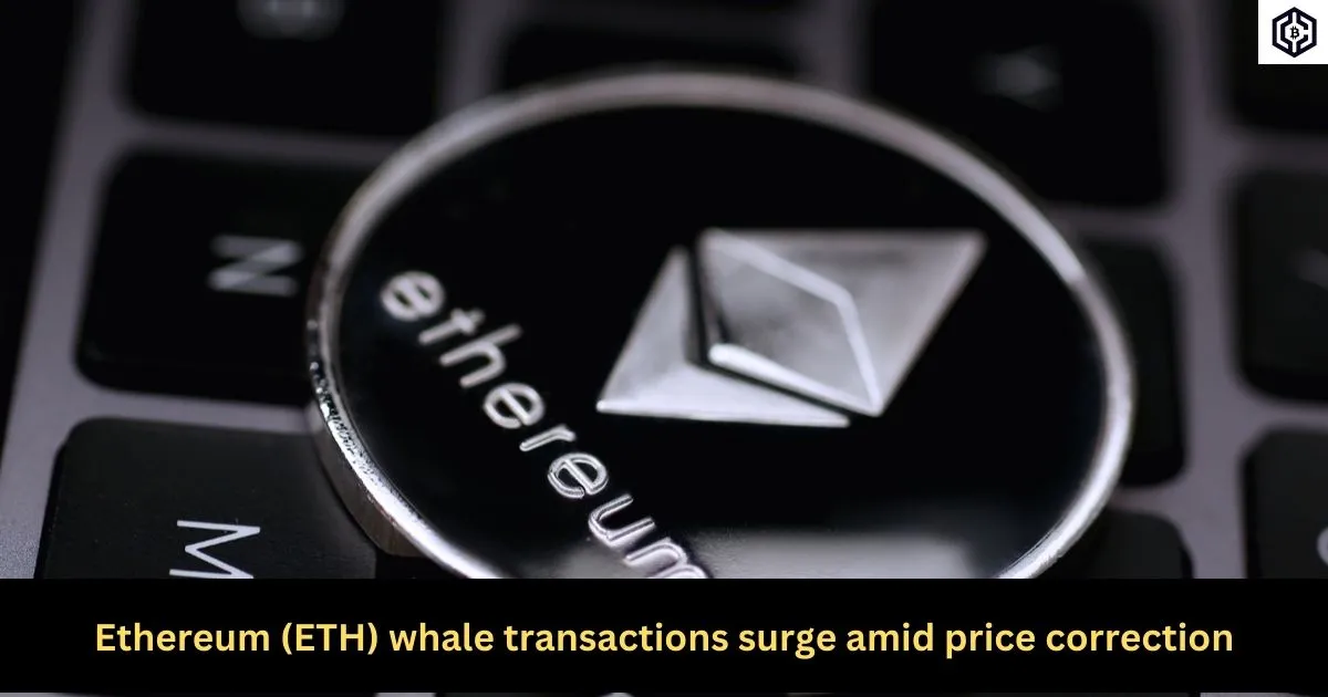 Ethereum (ETH) whale transactions surge amid price correction