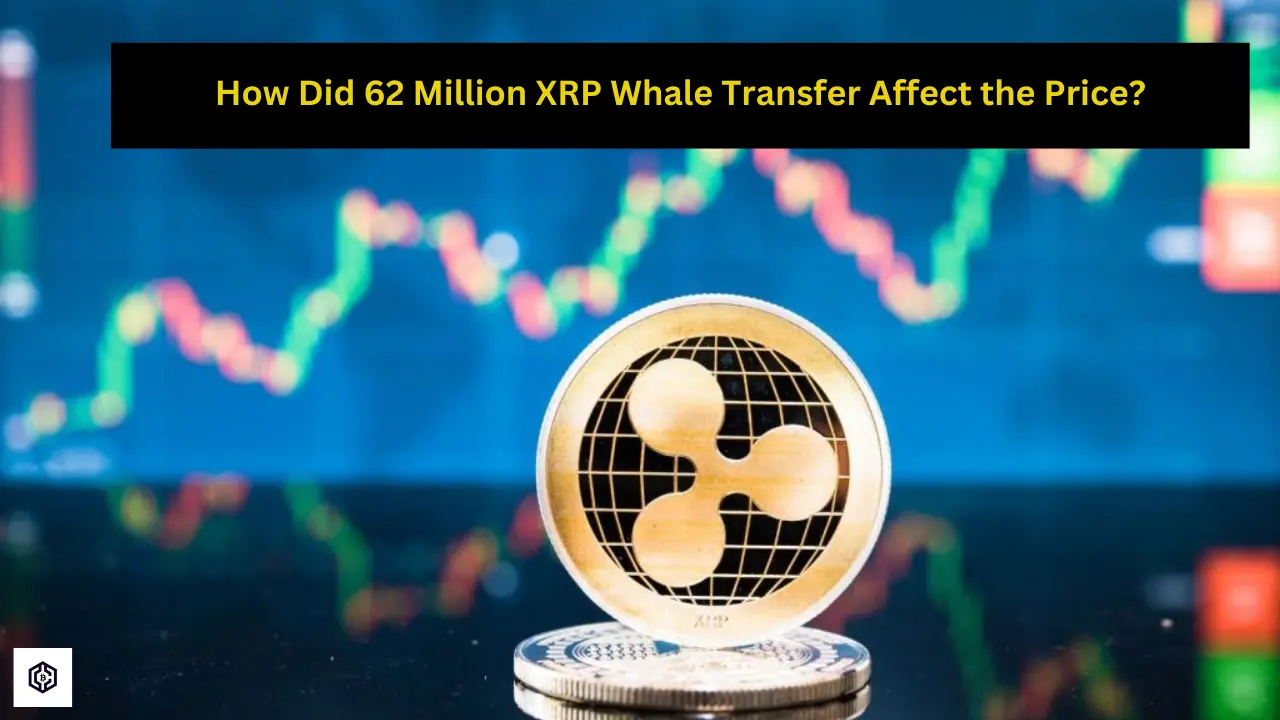 How Did 62 Million XRP Whale Transfer Affect the Price