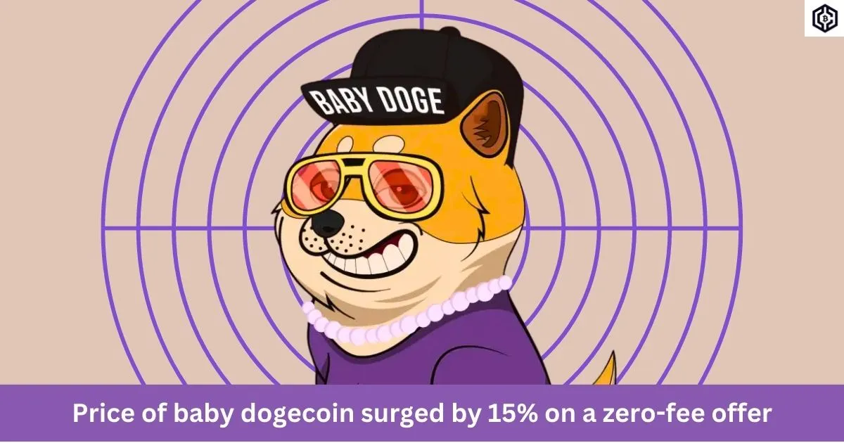 Price of baby dogecoin surged by 15 on a zero-fee offer