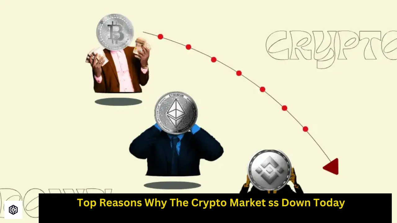 Top Reasons Why The Crypto Market ss Down Today