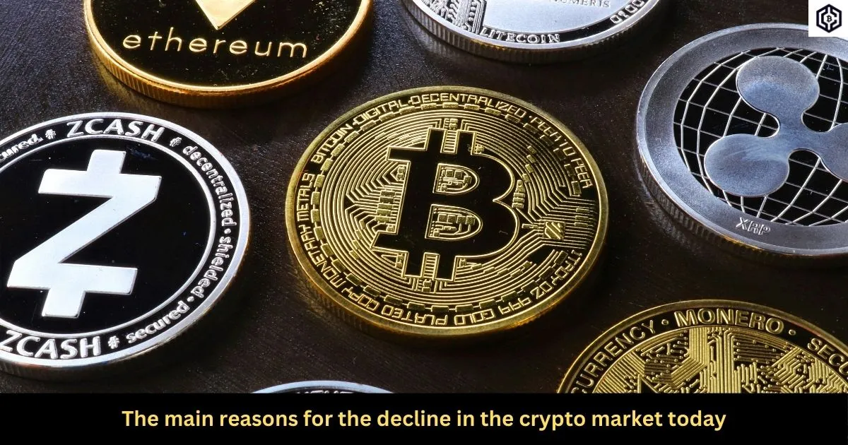 crypto market down