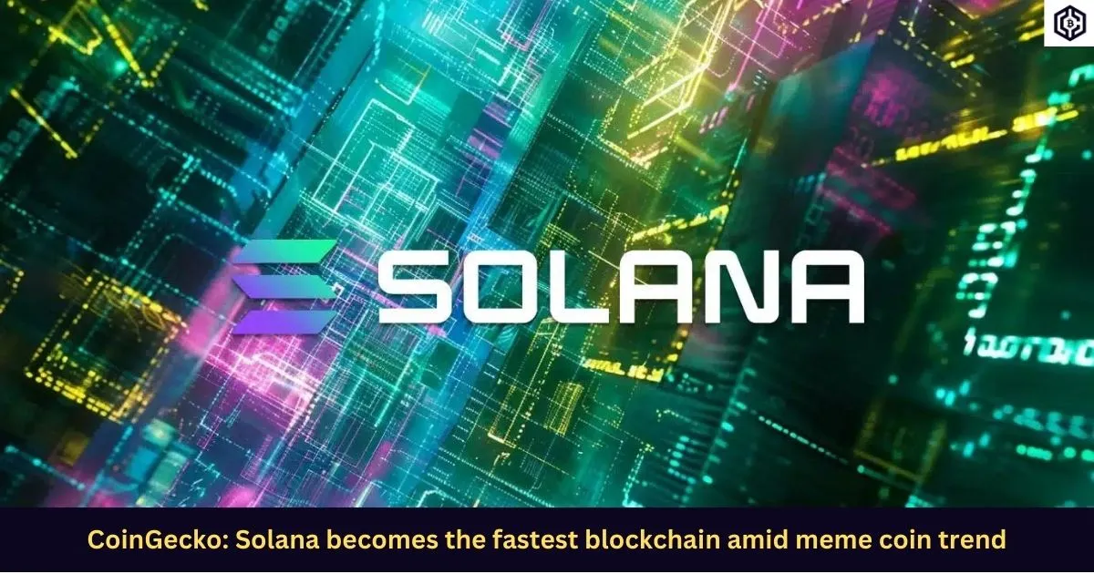 CoinGecko-Solana-becomes-the-fastest-blockchain-amid-meme-coin-trend