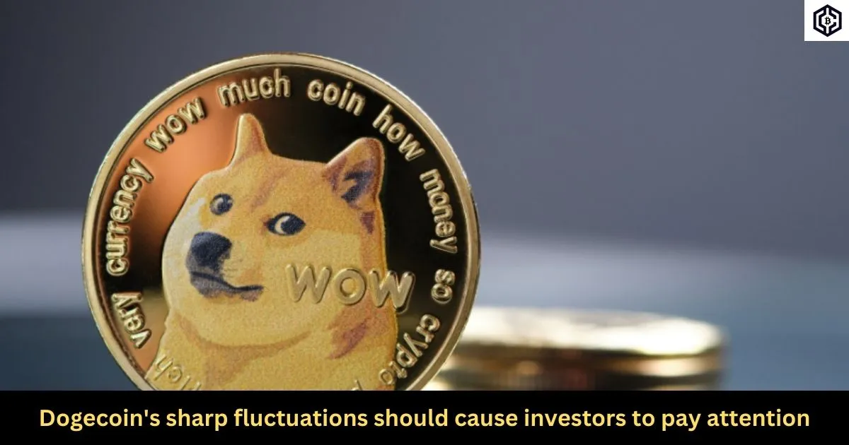 Dogecoin's sharp fluctuations should cause investors to pay attention
