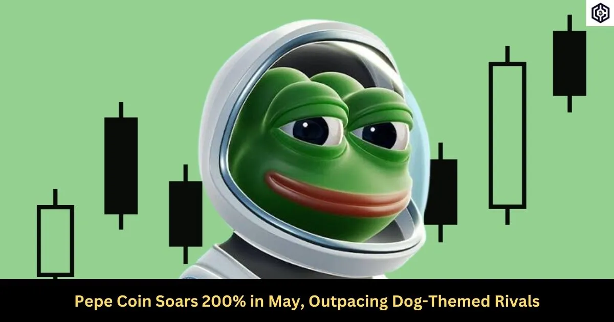 Pepe Coin Soars 200 in May, Outpacing Dog-Themed Rivals