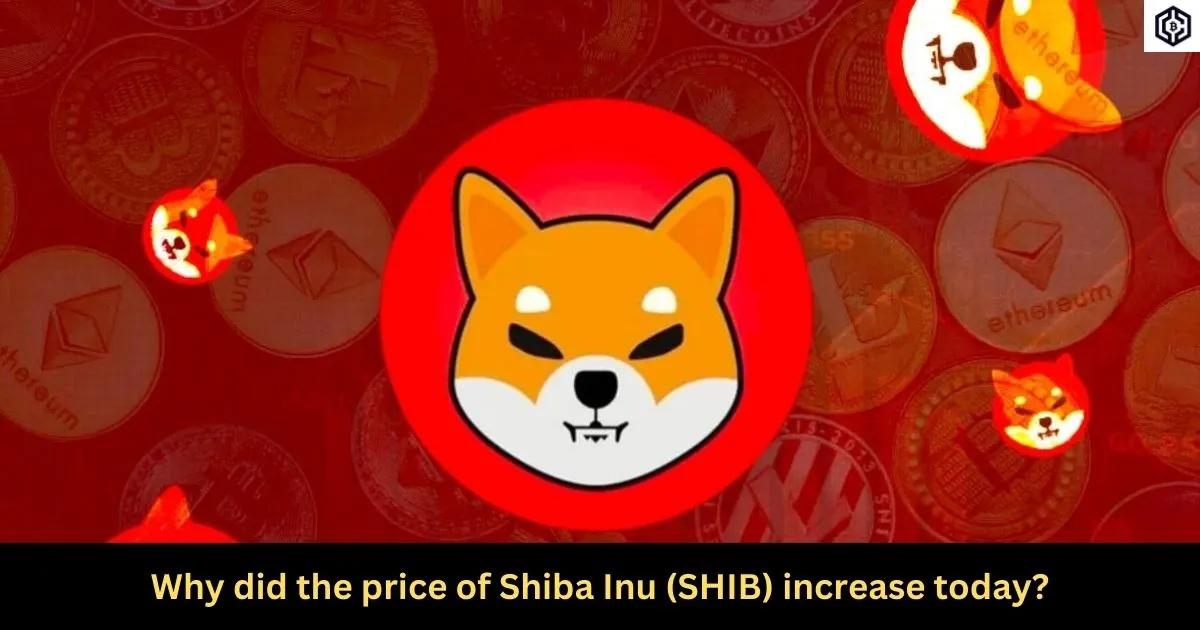 Why did the price of Shiba Inu (SHIB) increase today